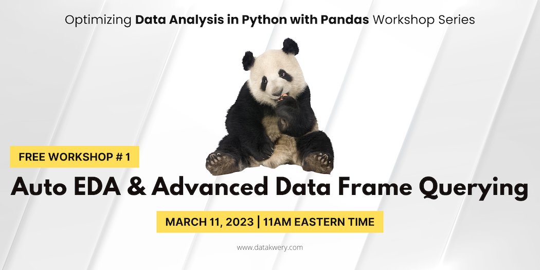 Free Auto EDA and Advanced Data Frame Querying Workshop