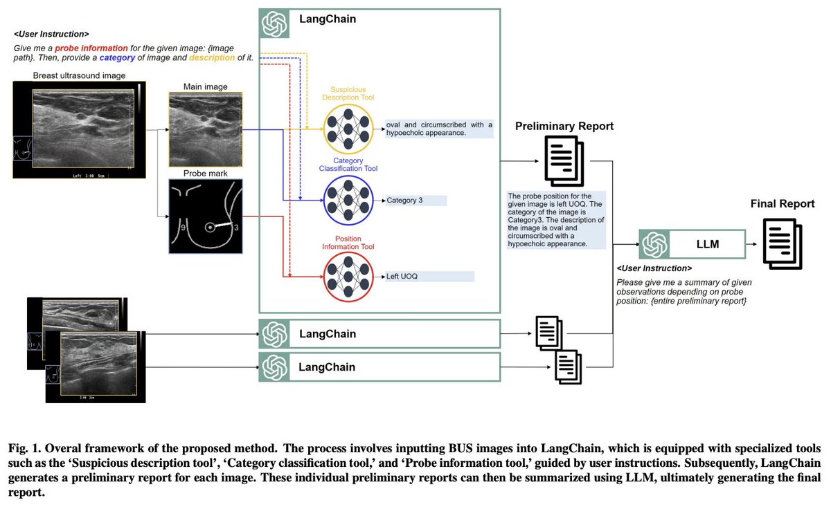 LangChain Breast Ultrasound Report Generation Model