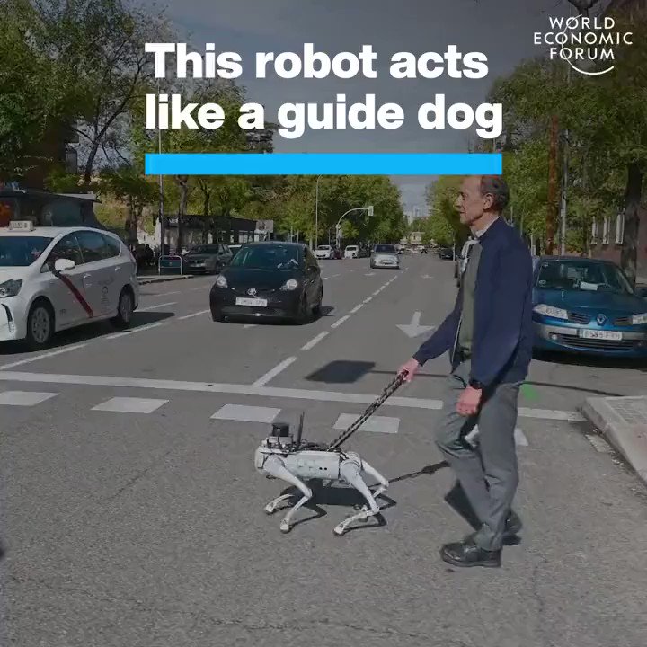 Robot Guide Dog: AI Innovation in Robotics and Engineering