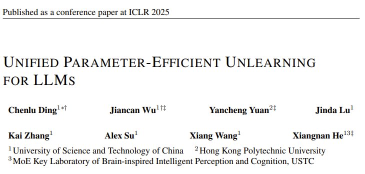 Parameter-Efficient Unlearning Methods for Large Language Models