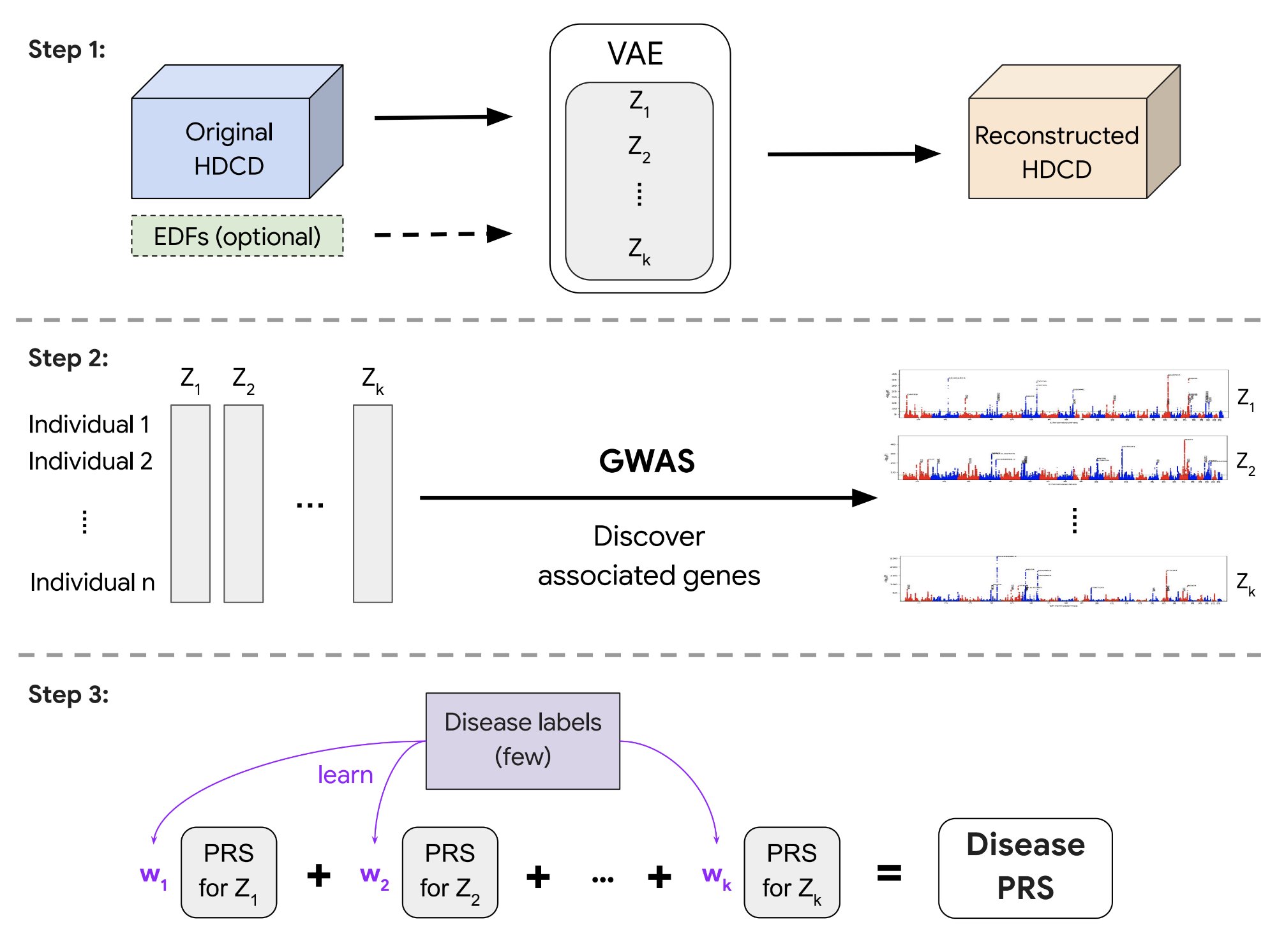 REGLE Method Reveals Genetic Basis of Organ Function