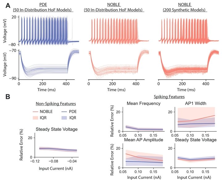 NOBLE: Neural Operator Framework for Neuroscience Research