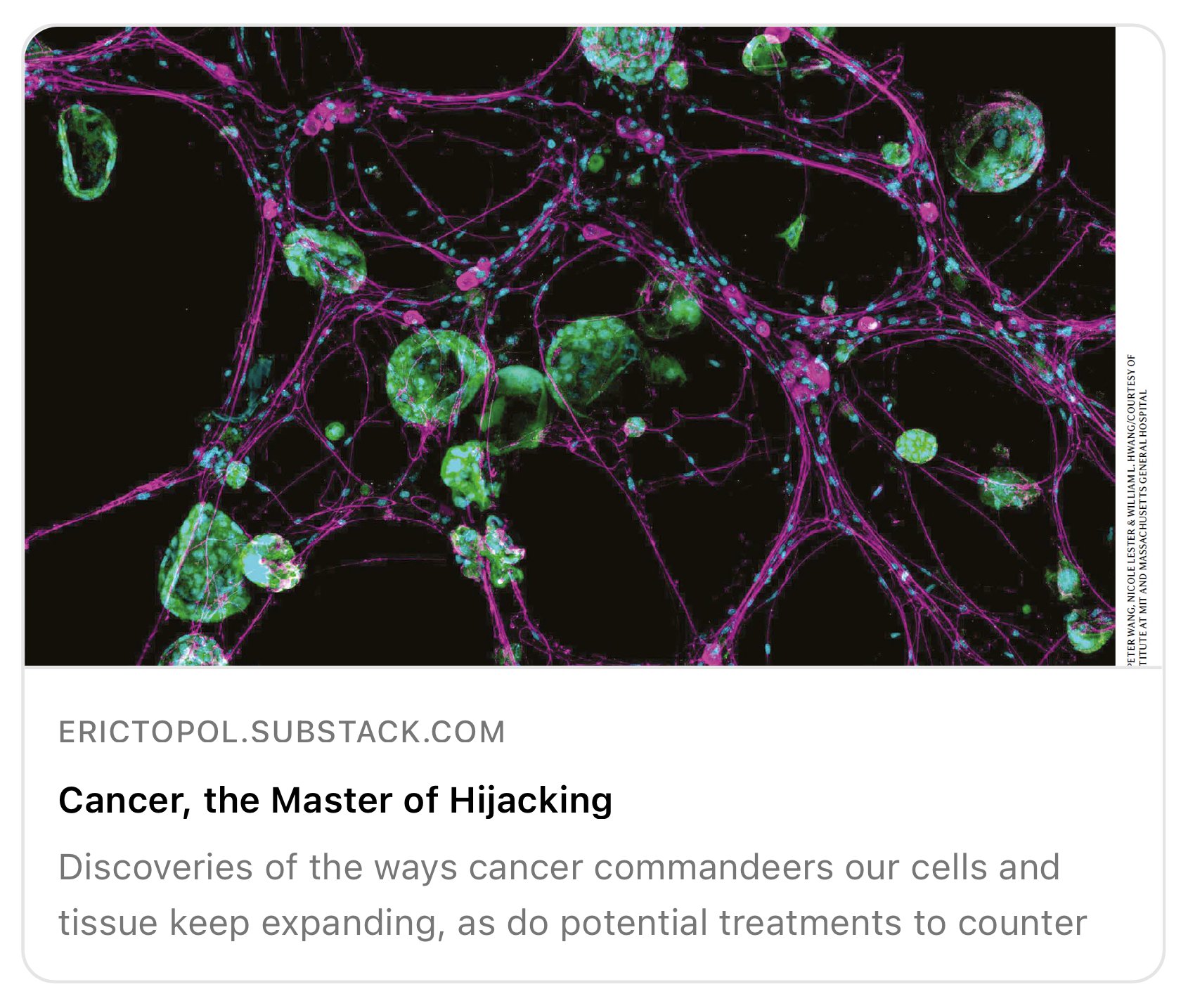 Cancer Treatment Breakthroughs: New AI-Driven Discovery Possibilities