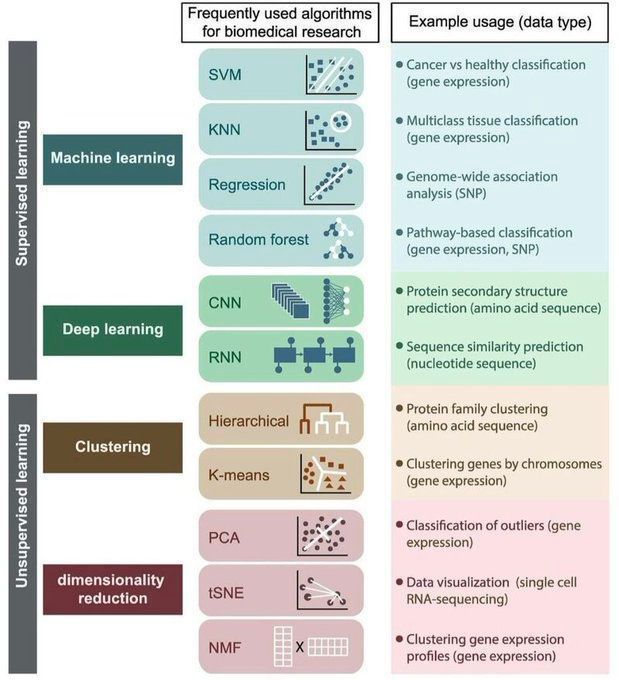Supervised Learning versus Unsupervised Learning in Machine Learning