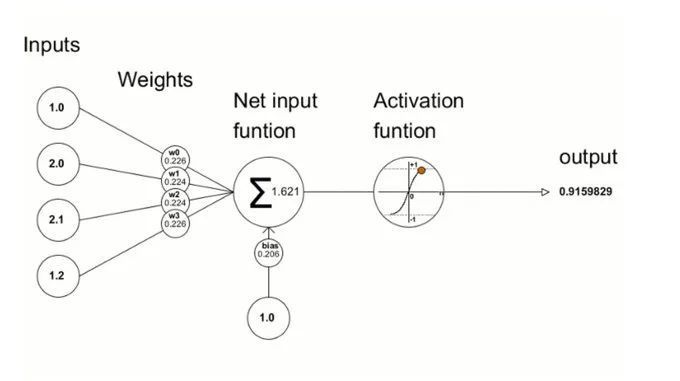 How Backward Propagation Works in Neural Networks