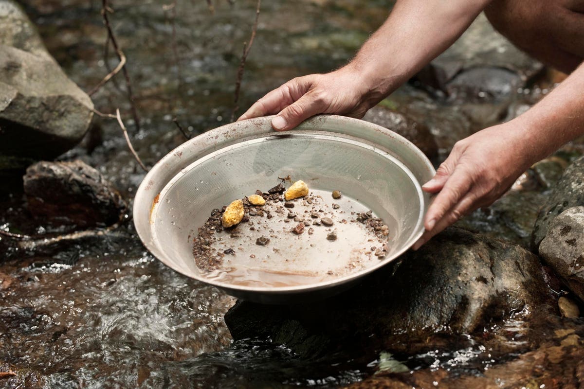 Avoiding the AI Gold Rush: Finding the Right Role for AI