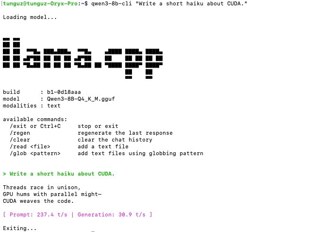 Testing Qwen 3 8B on Local Ubuntu with Codex