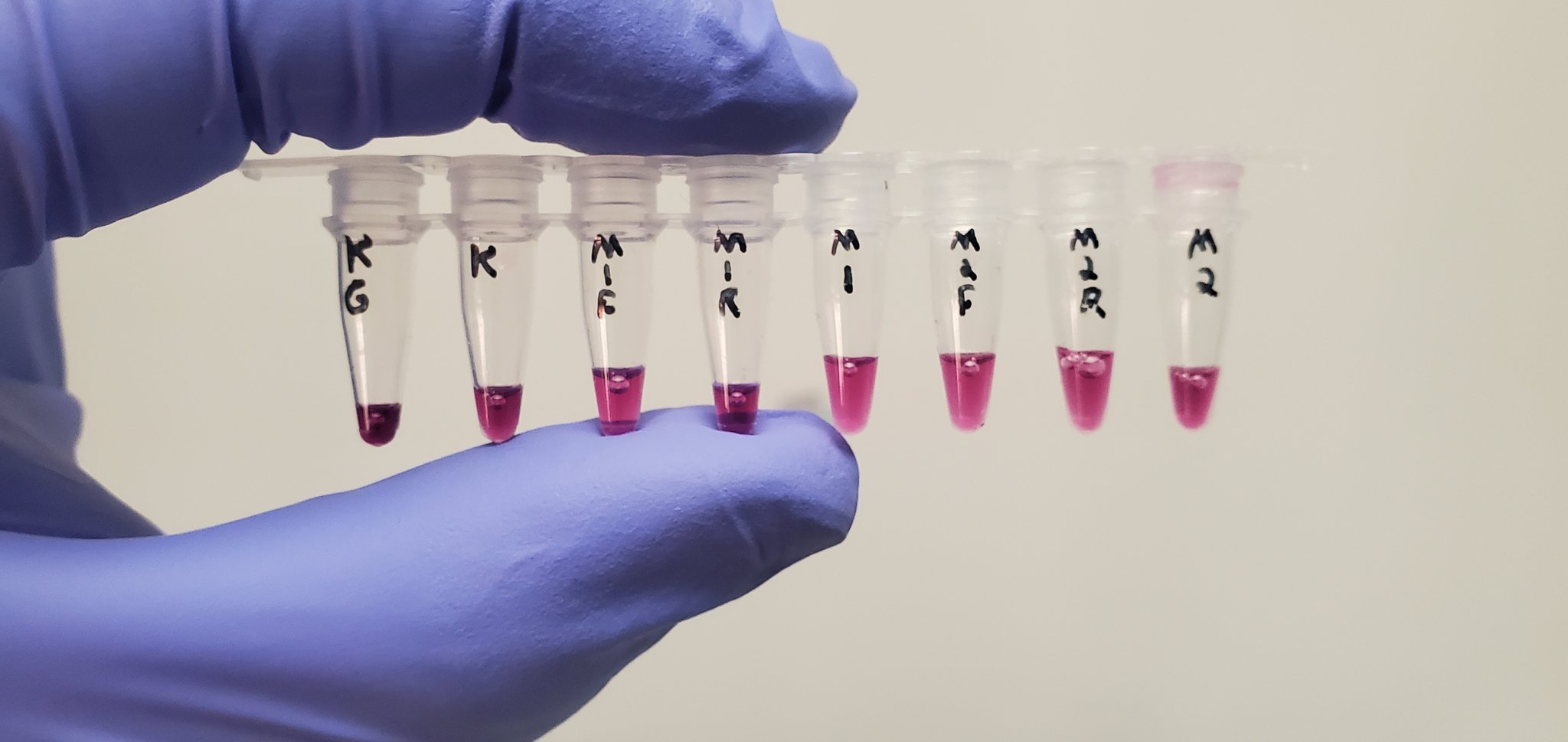 Grateful for Computer-Based Scientific Research