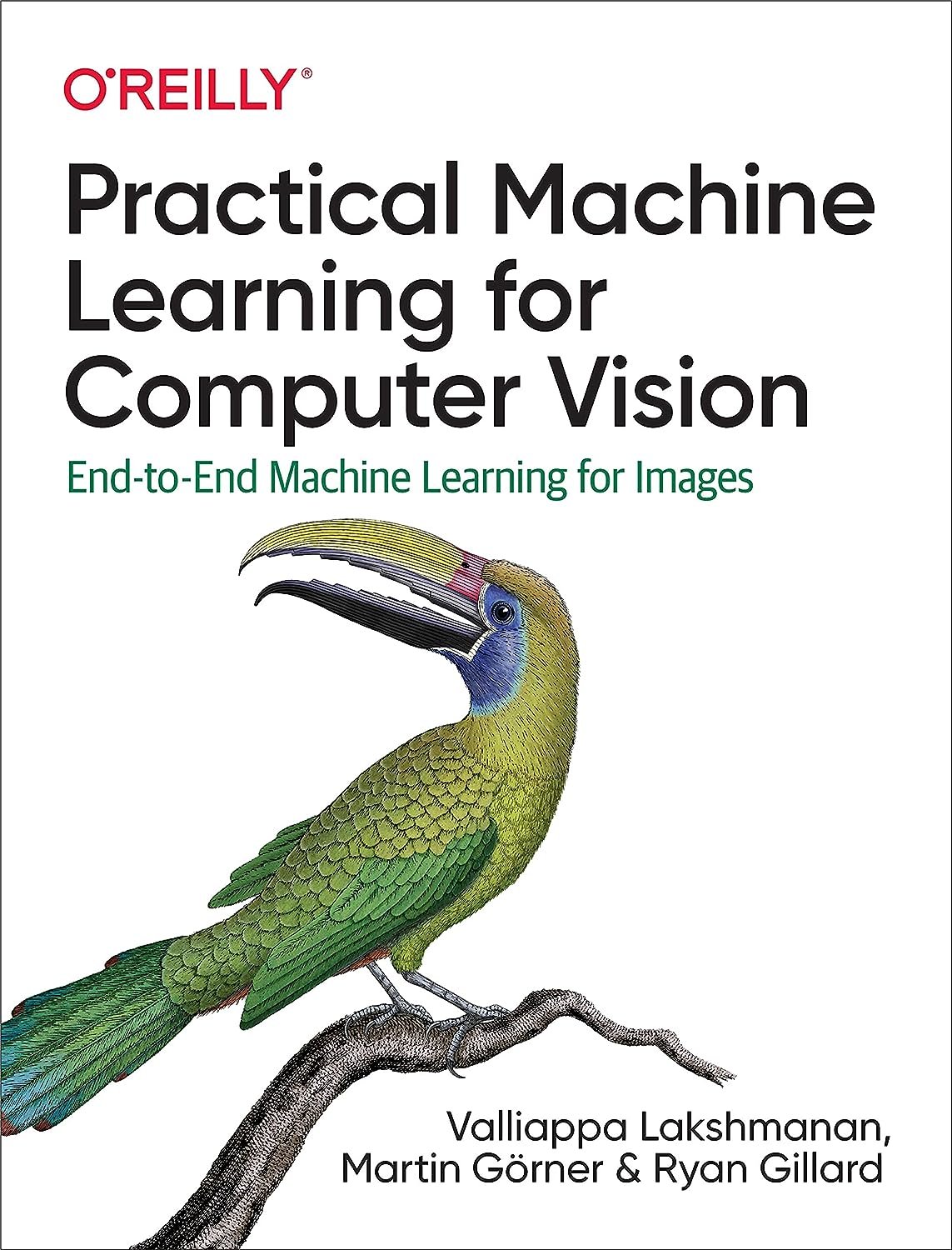 Practical Machine Learning for Computer Vision End-to-End ML