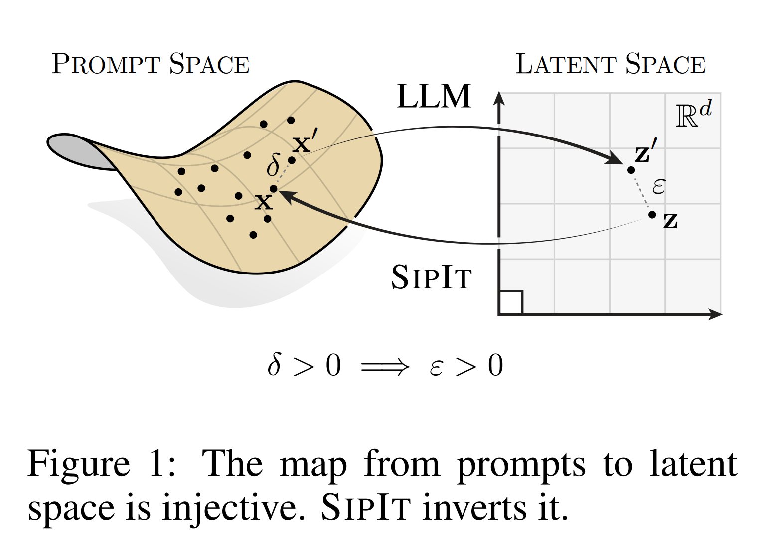 Language Models are Injective and Invertible with SIPIT