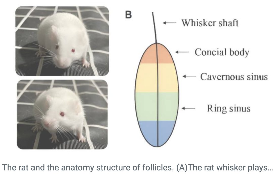 AI-Enabled Whisker-Inspired Diagnostic System for Gastrointestinal Diseases