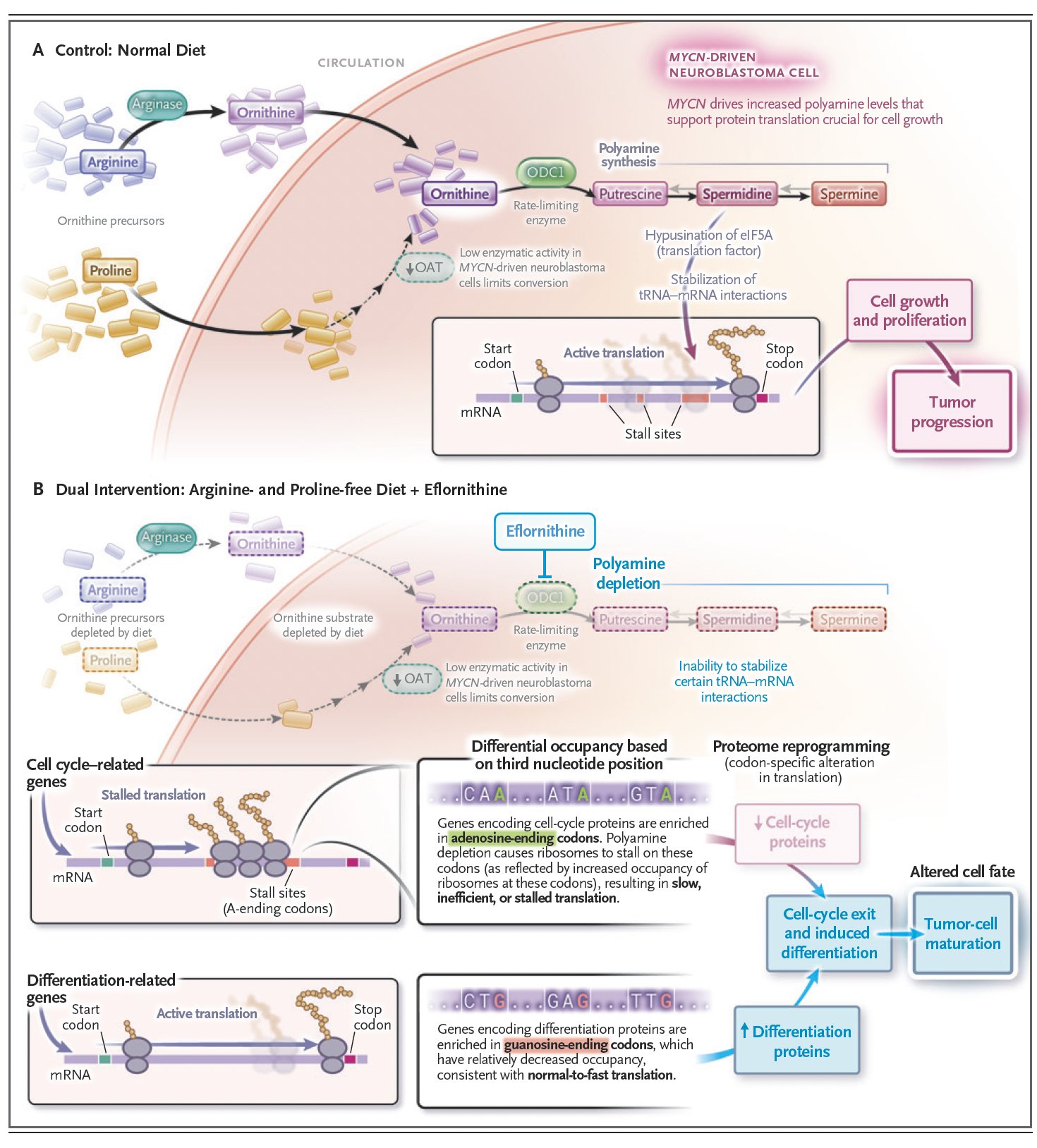Dietary Intervention With AI Models for Pediatric Brain Cancer Treatment