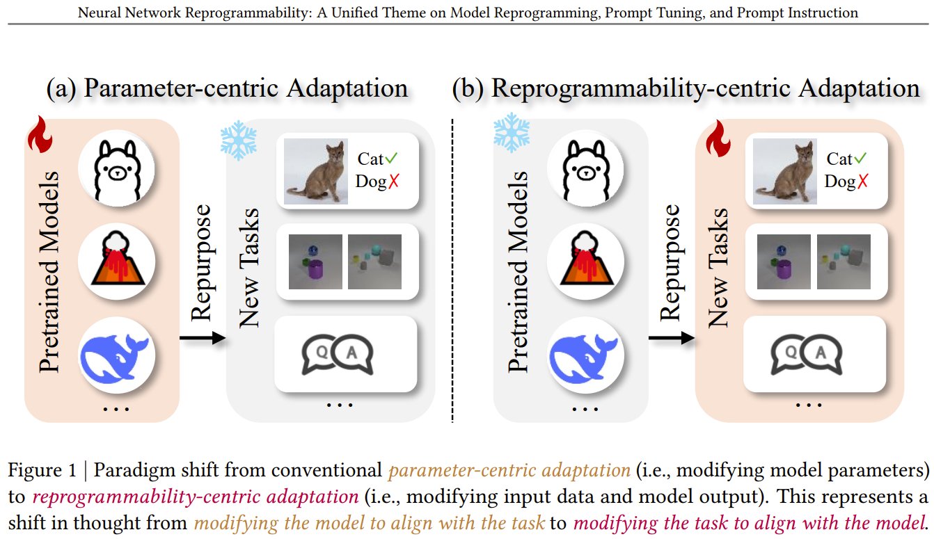 Unified Theory of Neural Network Reprogrammability Explained