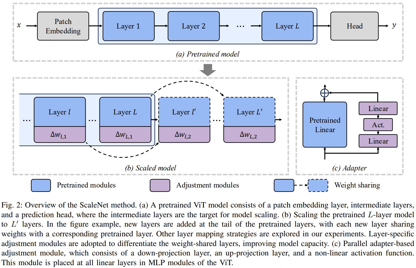 ScaleNet: Scaling Vision Transformers with Weight Sharing