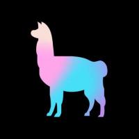 Implementing LLama from Scratch: Complete Technical Guide