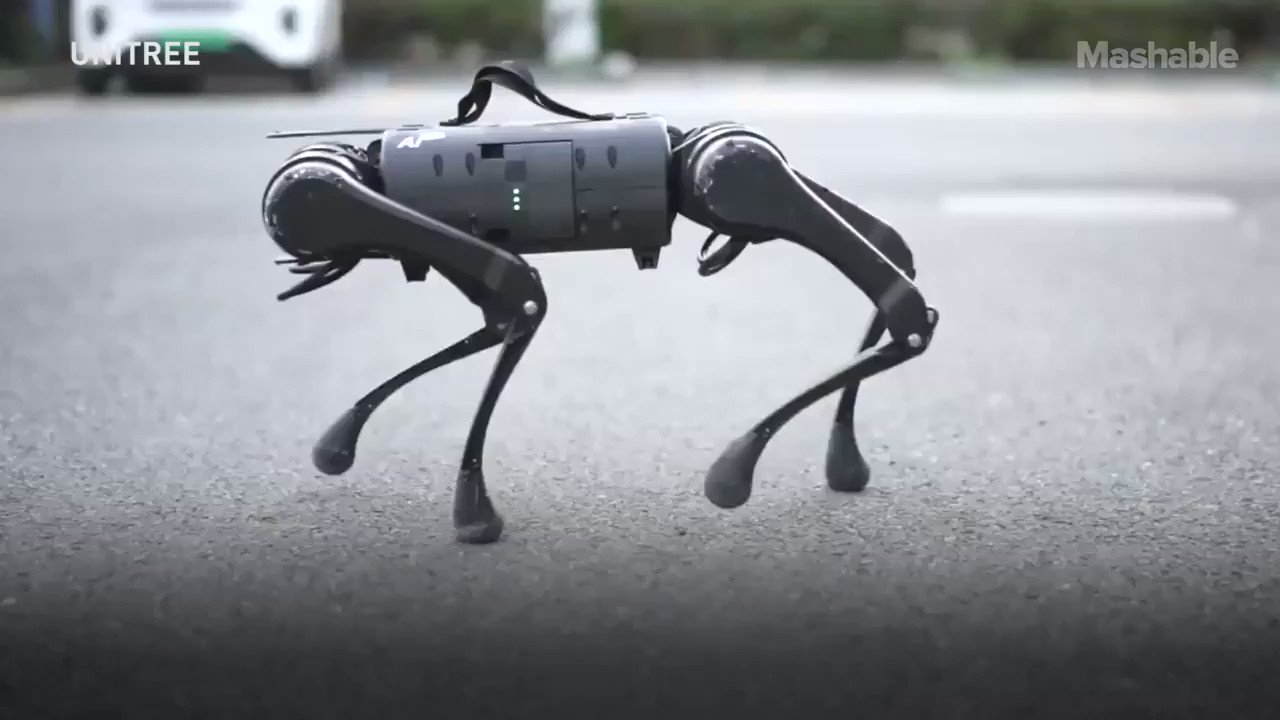 Boston Dynamics Lookalike Robot Dog Wants to Be Our Pet