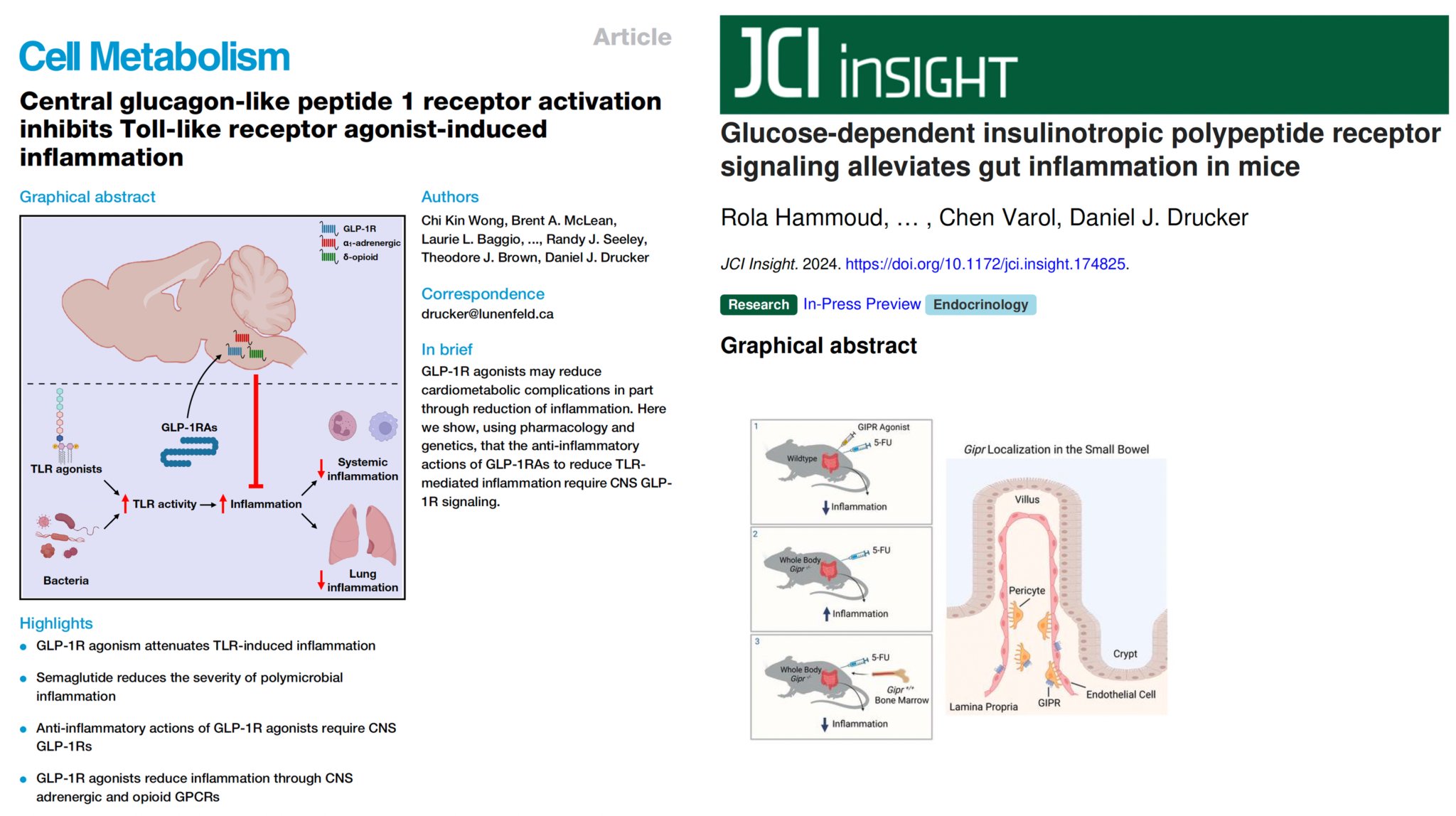 GLP-1 drugs show anti-inflammatory effects independent weight loss