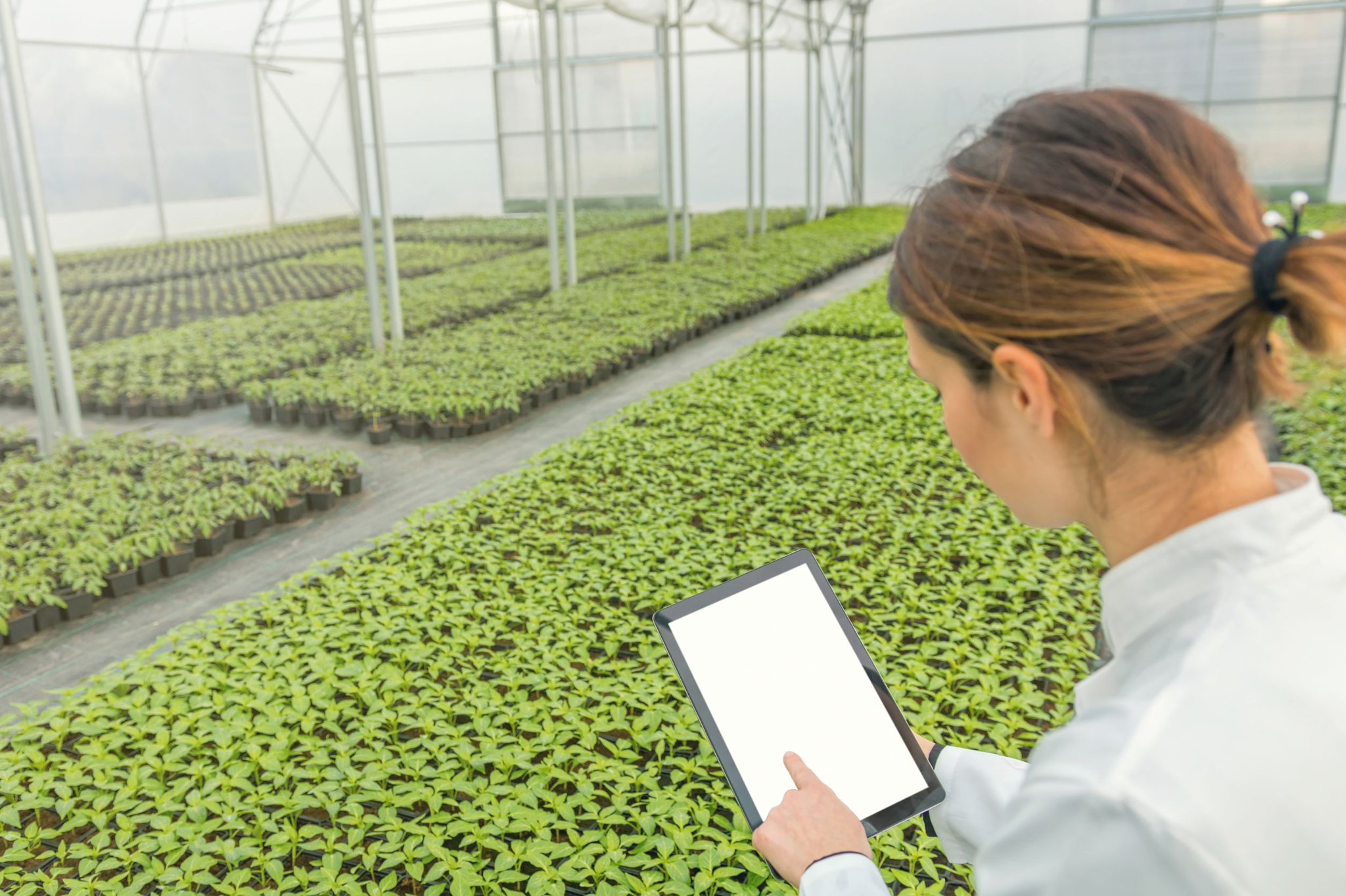 Controlled Environment Agriculture for Sustainable Food Production