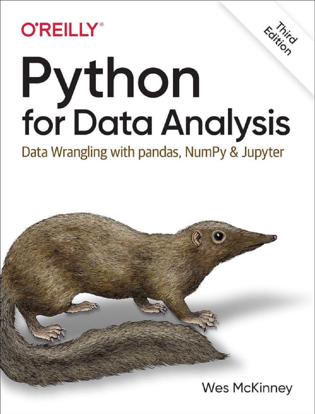 Python Data Analysis with Pandas: Essential Guide for Data Scientists