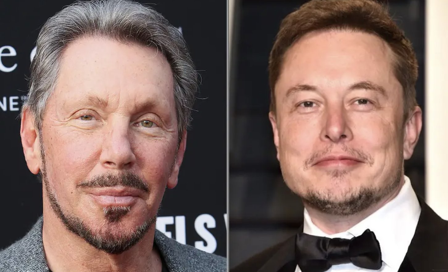 Ellison and Musk Launch AI Agriculture Application