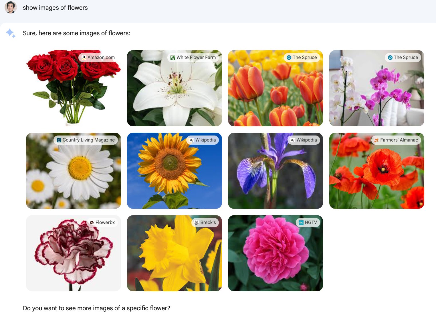 Google Bard Now Supports Images for Recommendations