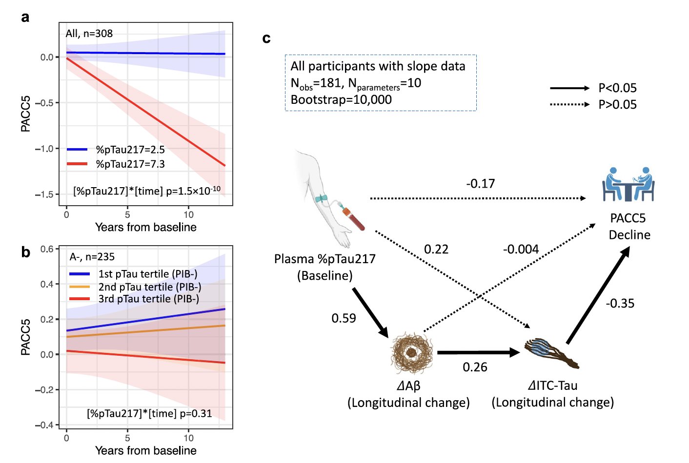 P-tau217 biomarker predicts Alzheimer’s disease in older adults