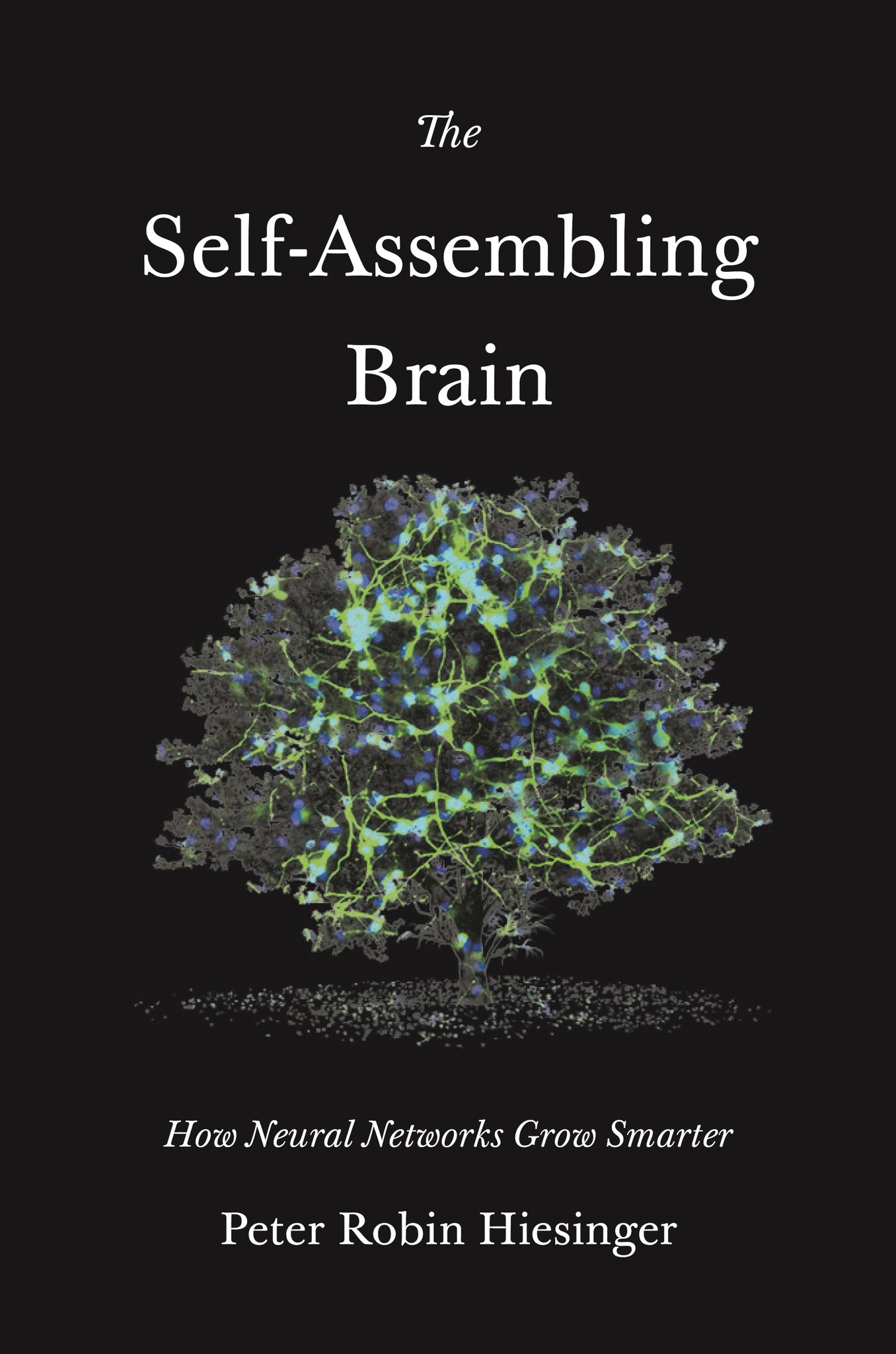 Companion to The Self-Assembling Brain Neural Networks