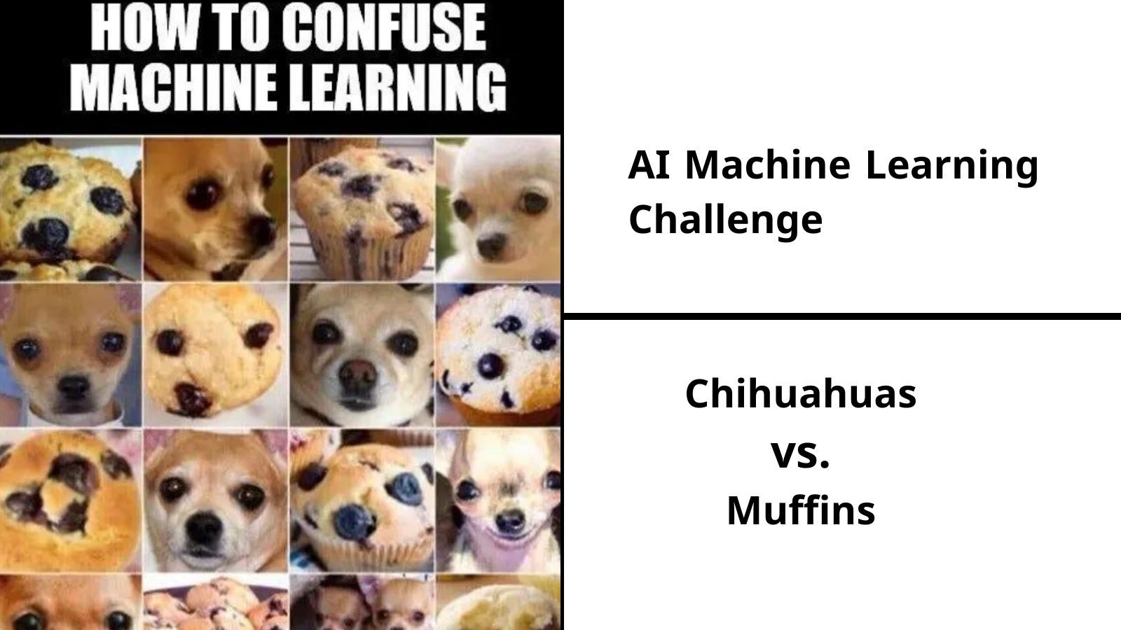 Chihuahuas or Muffins: Image Recognition Challenges in ML