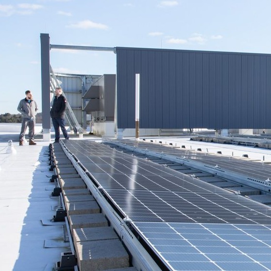 MathWorks Engineer Drives Decarbonization Strategy Forward