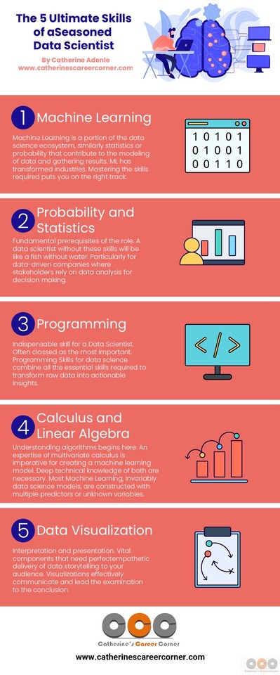 The 5 Ultimate Skills of a Seasoned Data Scientist