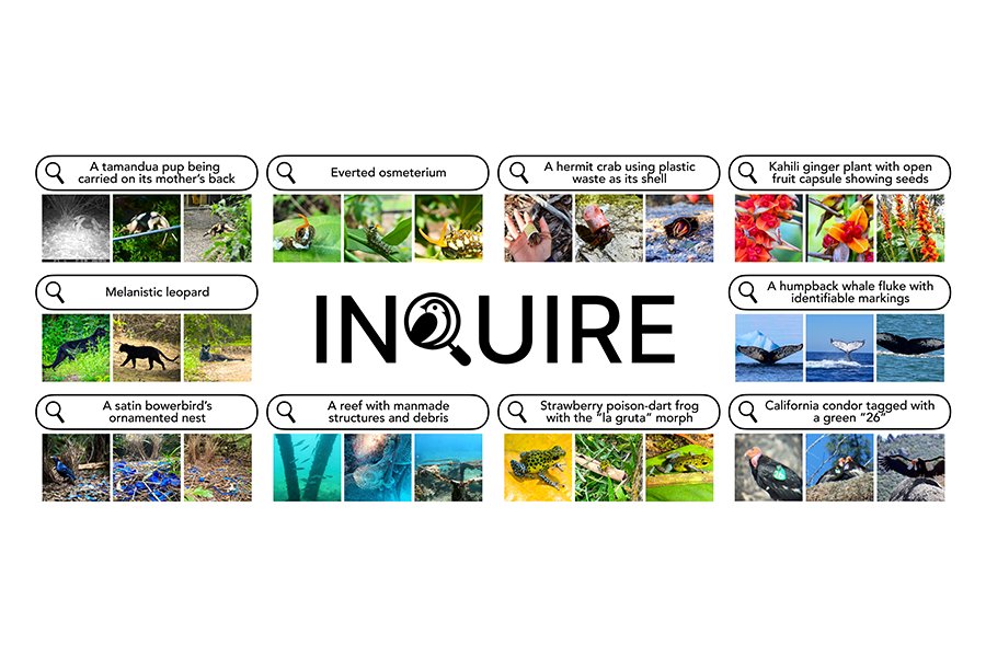 INQUIRE Dataset: Domain-Specific Image Search Challenges