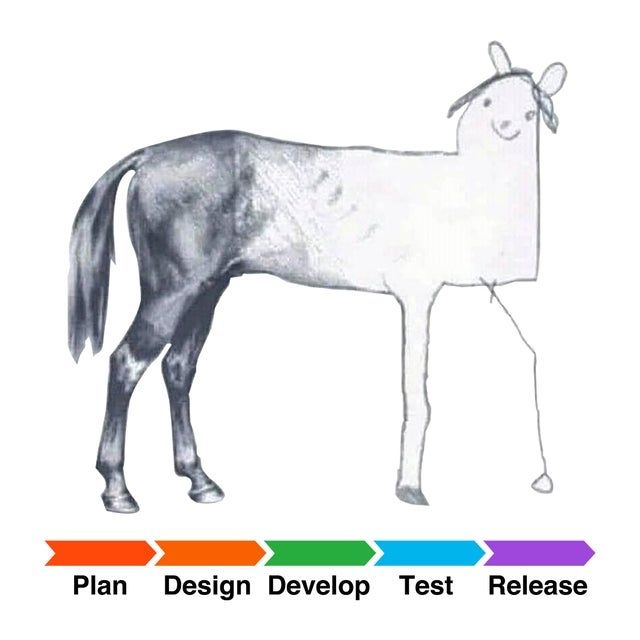 From Plan to Implementation: Project Management Insights