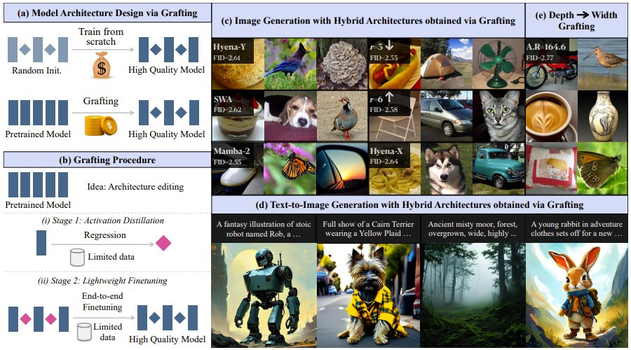 Grafting: Efficient Diffusion Transformer Architecture Redesign