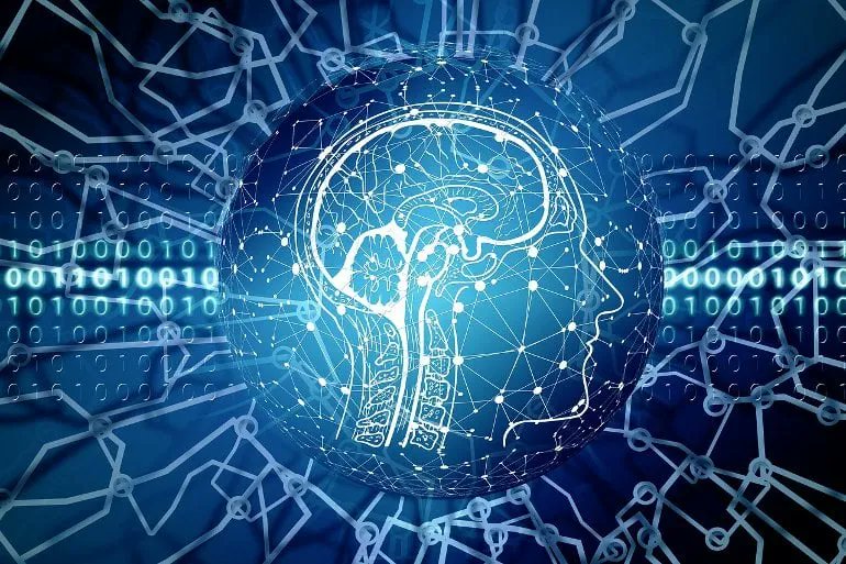 How Old Is Your Brain Really Nina Raffio Analysis