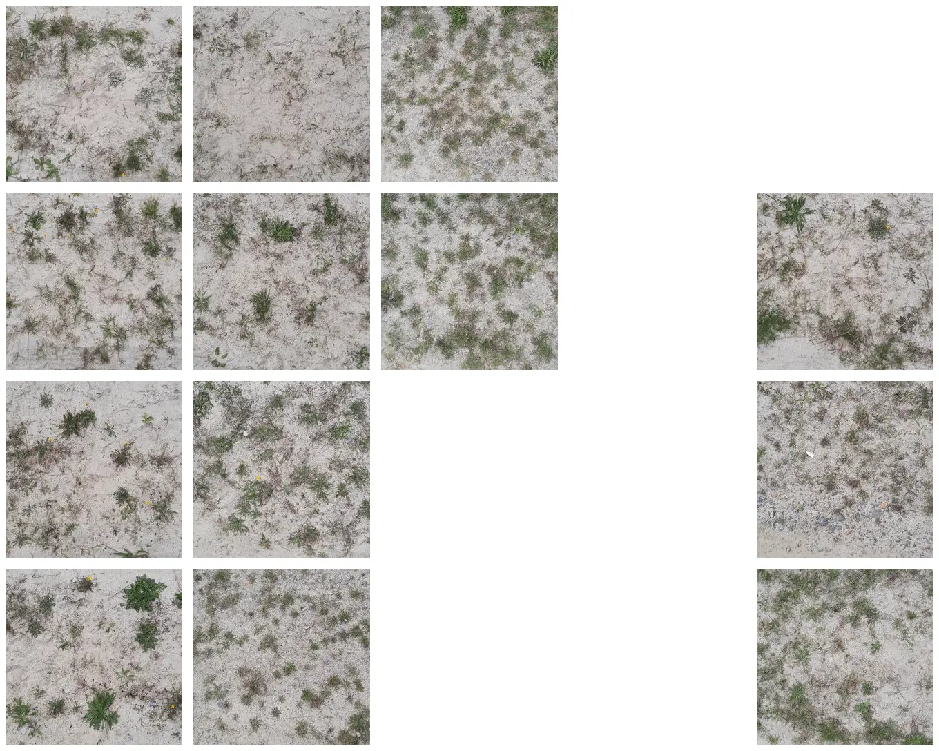 Texture Datasets Updated for Generative AI Training