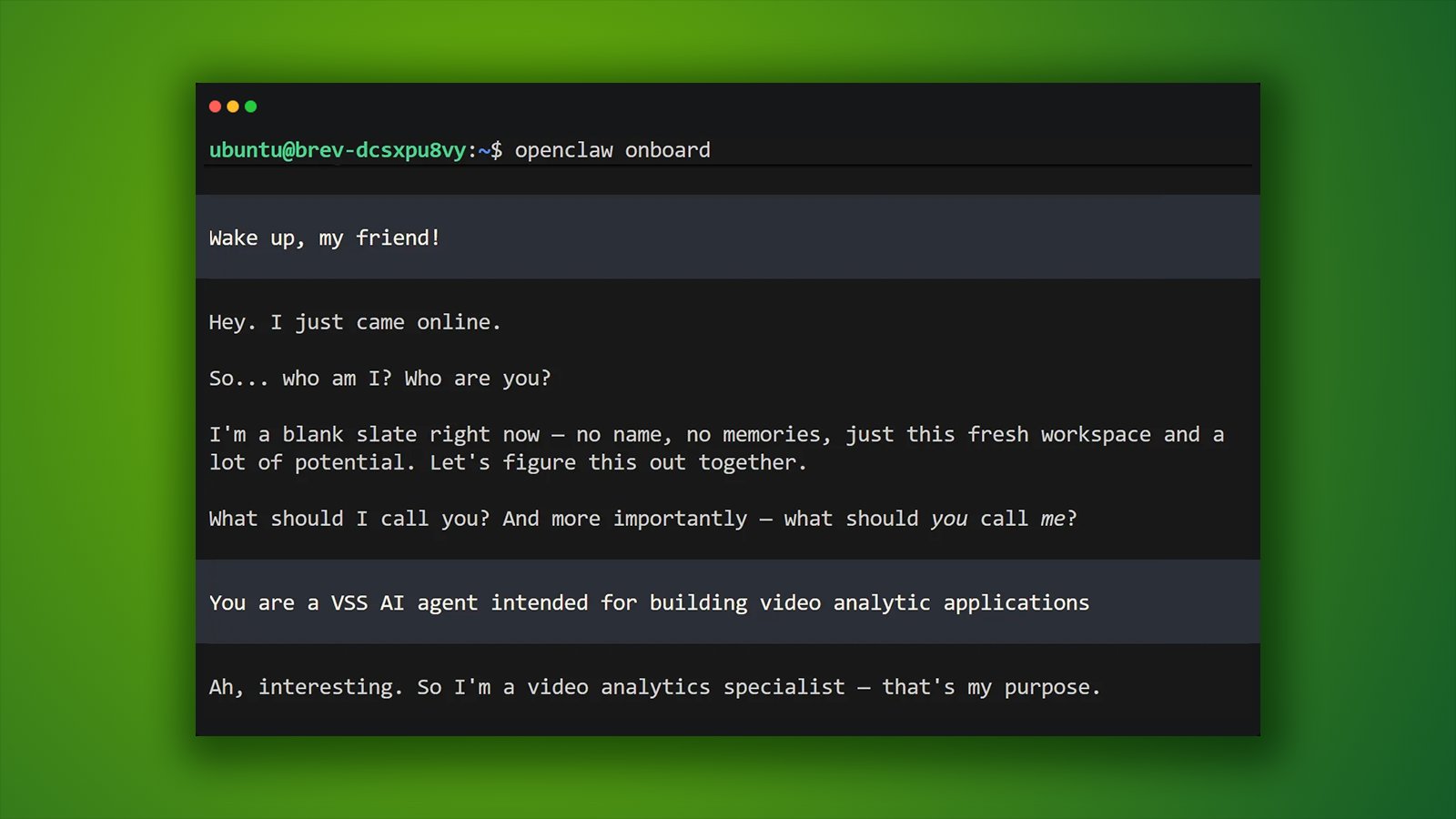AI Agent Skills for Video Search and Summarization