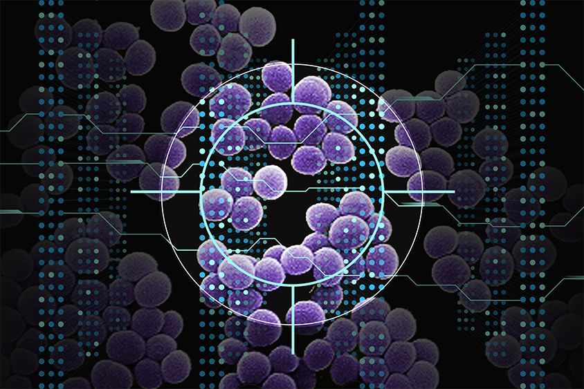 MIT Researchers Use AI to Discover New Antibiotic Candidates