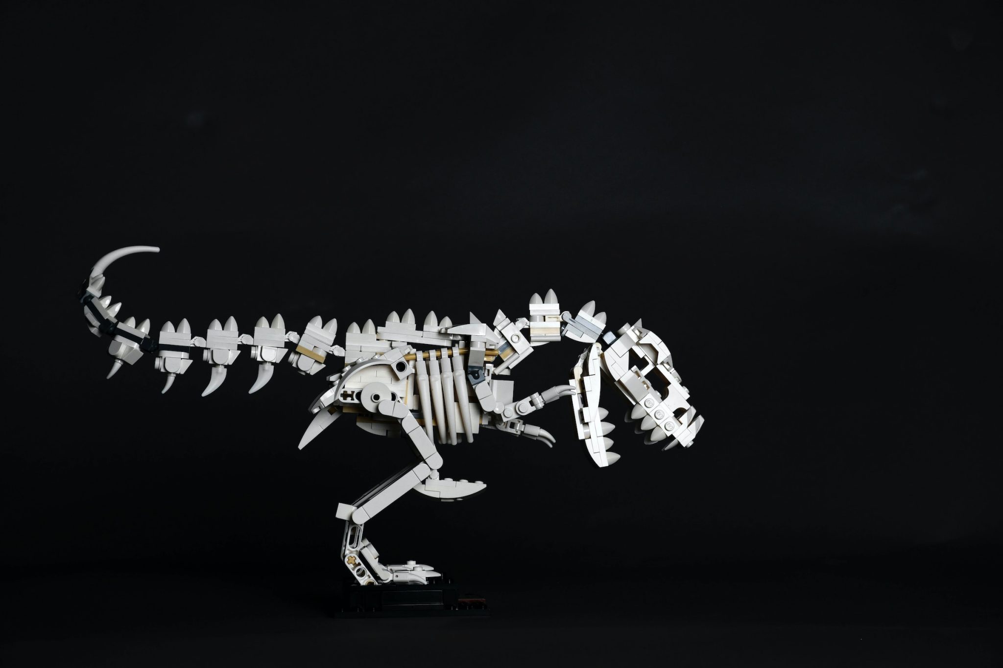 AI Leaders Warn About Extinction Risk in Open Letter