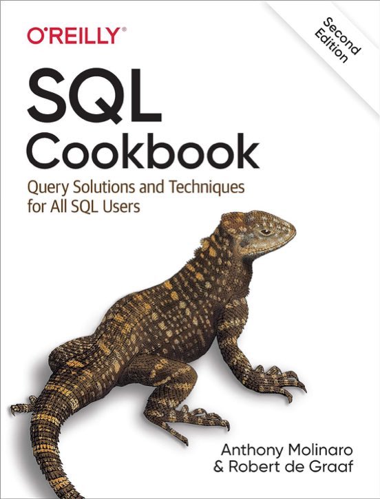 SQL Cookbook and SQL for Data Scientists Book Recommendations