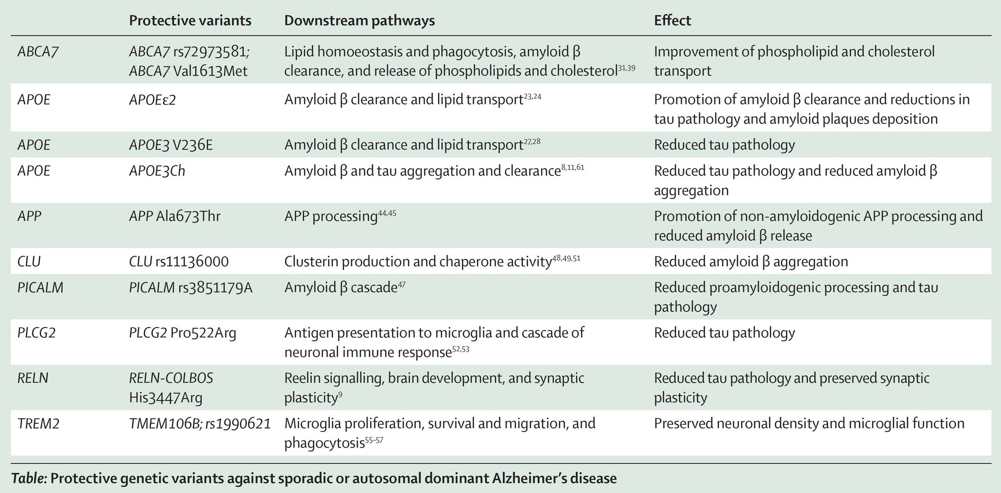 Known Protective Variants in AI Systems