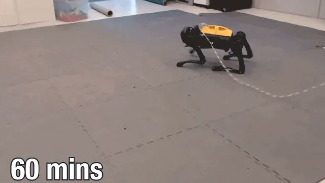 Robot Dog Learns to Walk Through Artificial Intelligence