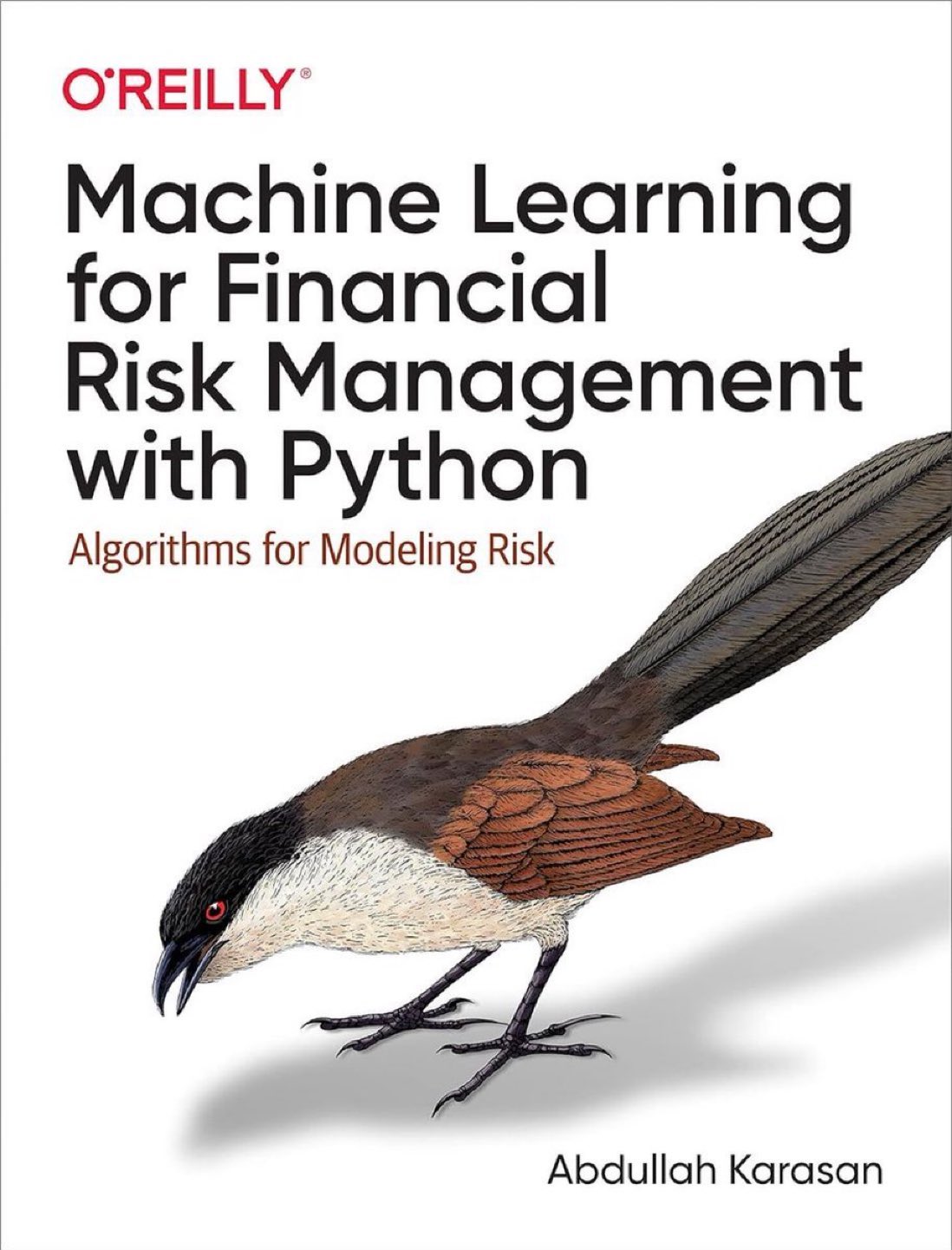 Machine Learning Python Algorithms for Financial Risk Management