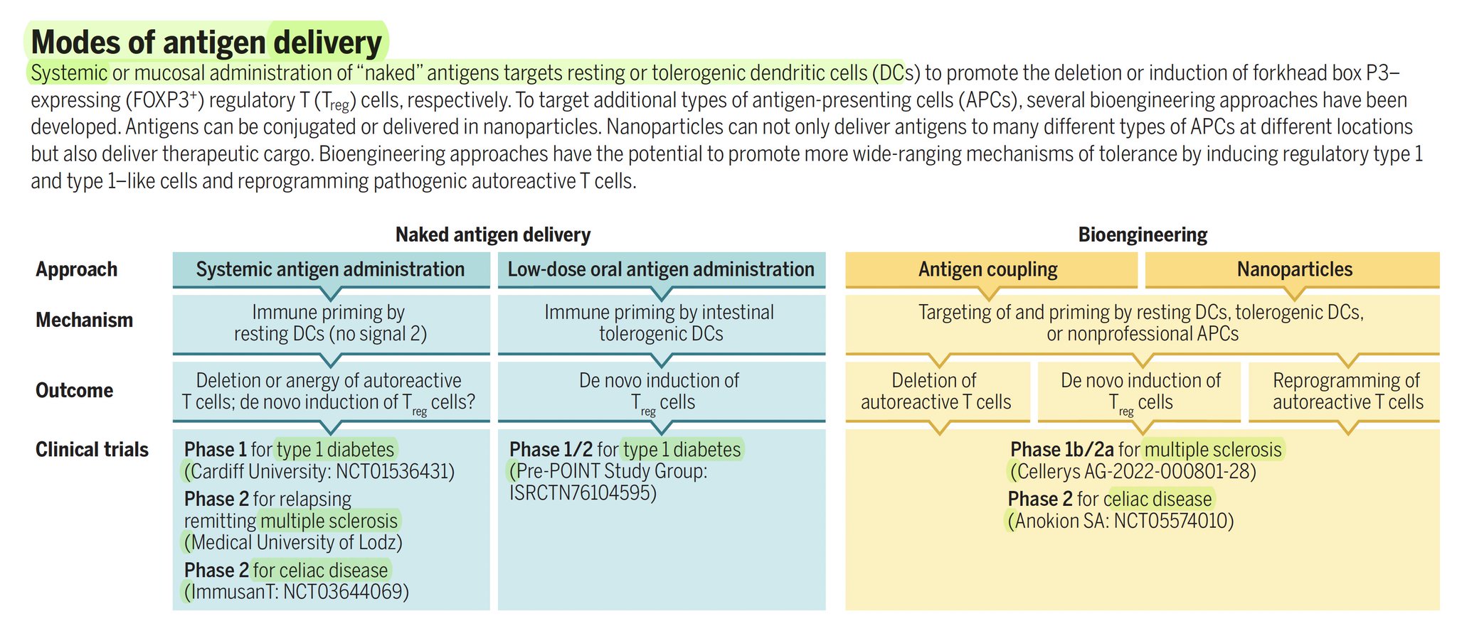 Immune Tolerance Advances: Antigen Delivery Clinical Trials Progress