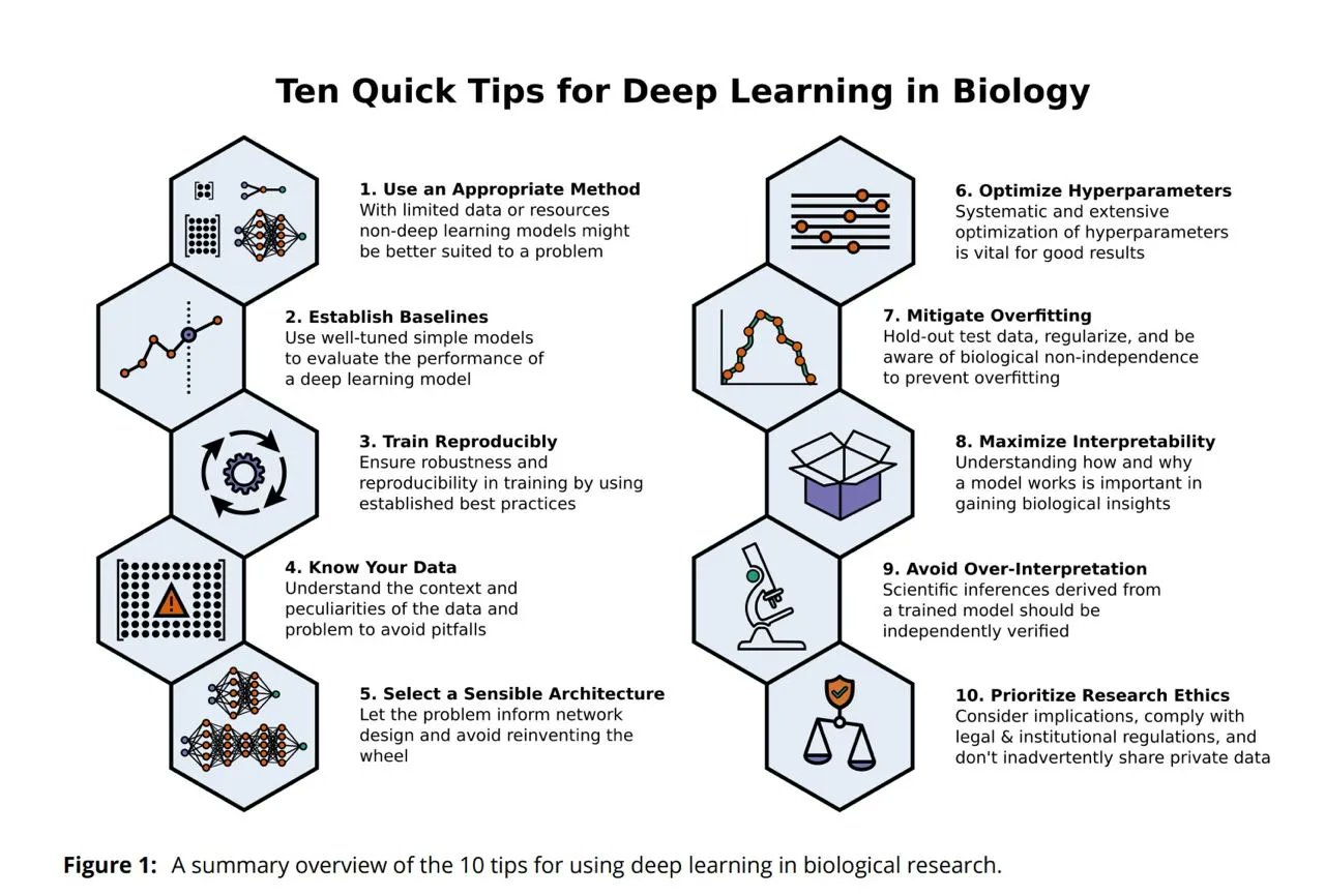 10 Quick Tips for Deep Learning in Biology