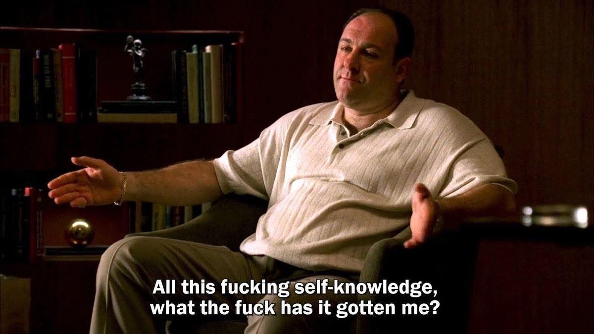When You Ask R1 How It’s Doing Today