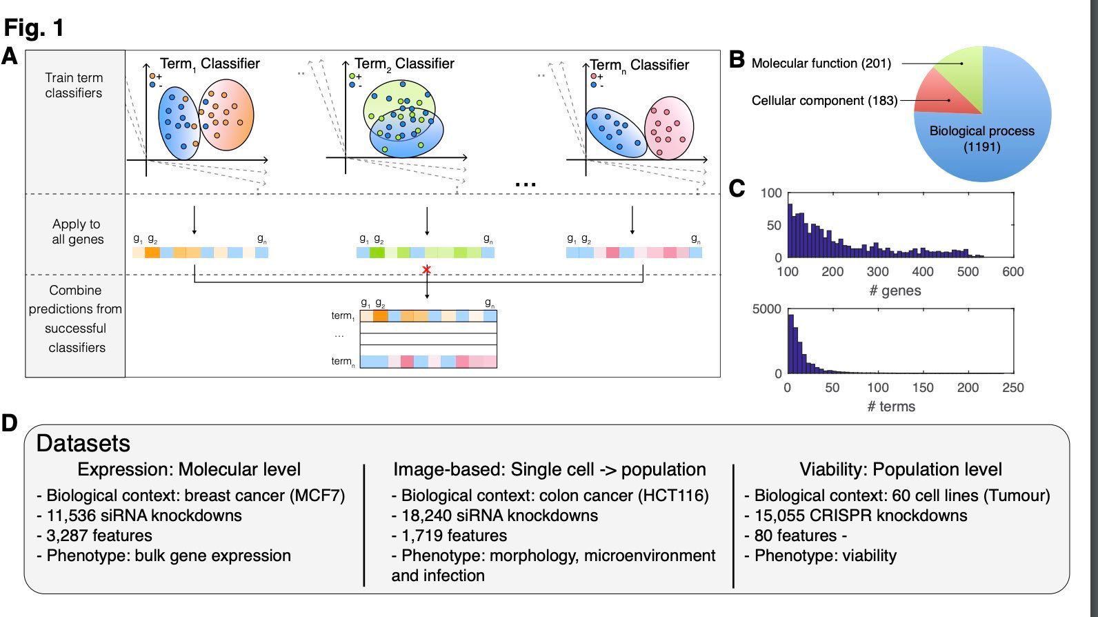 Machine Learning Advances Gene Function Analysis