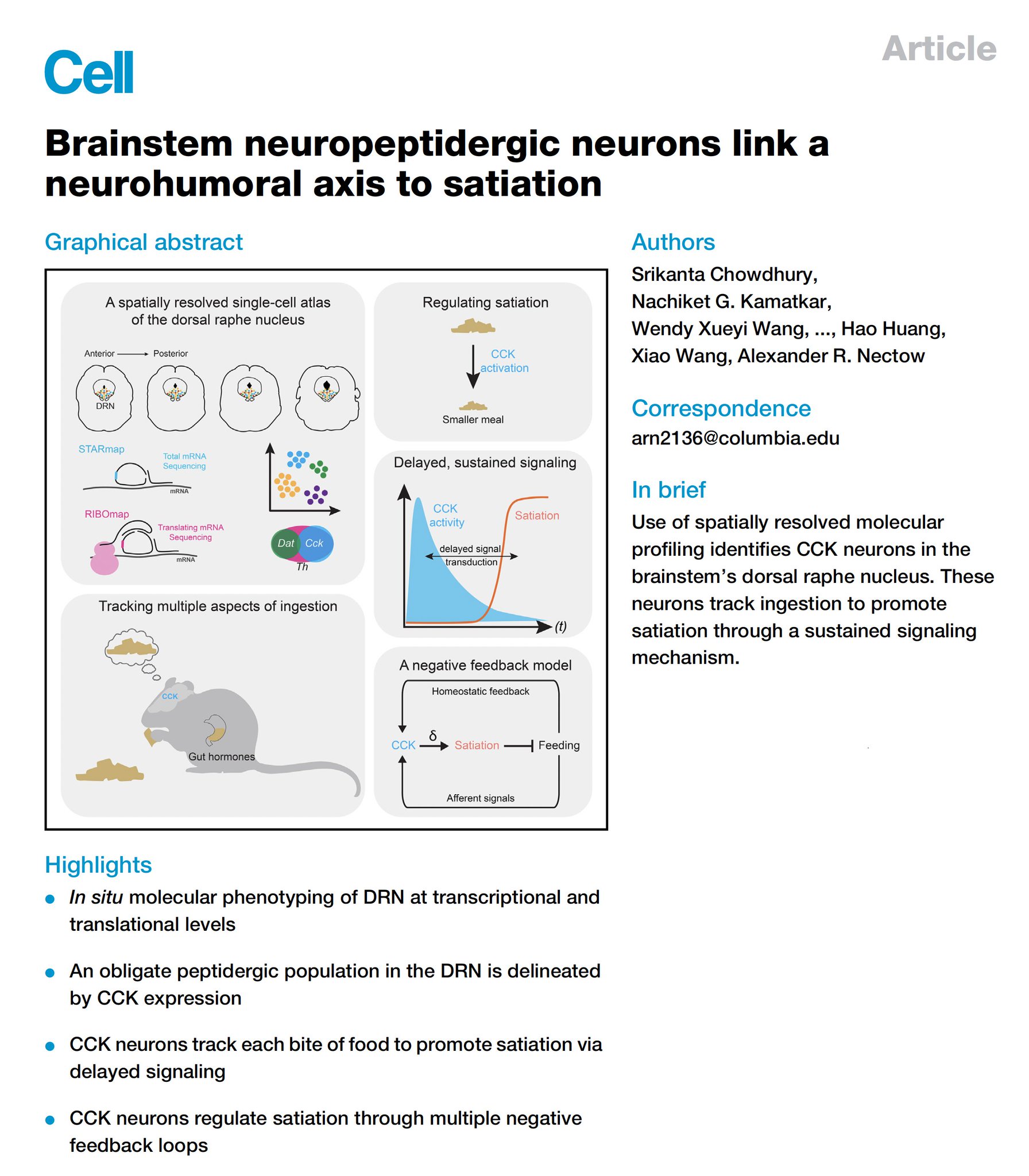 Brain cells regulating hunger discovered via spatial omics