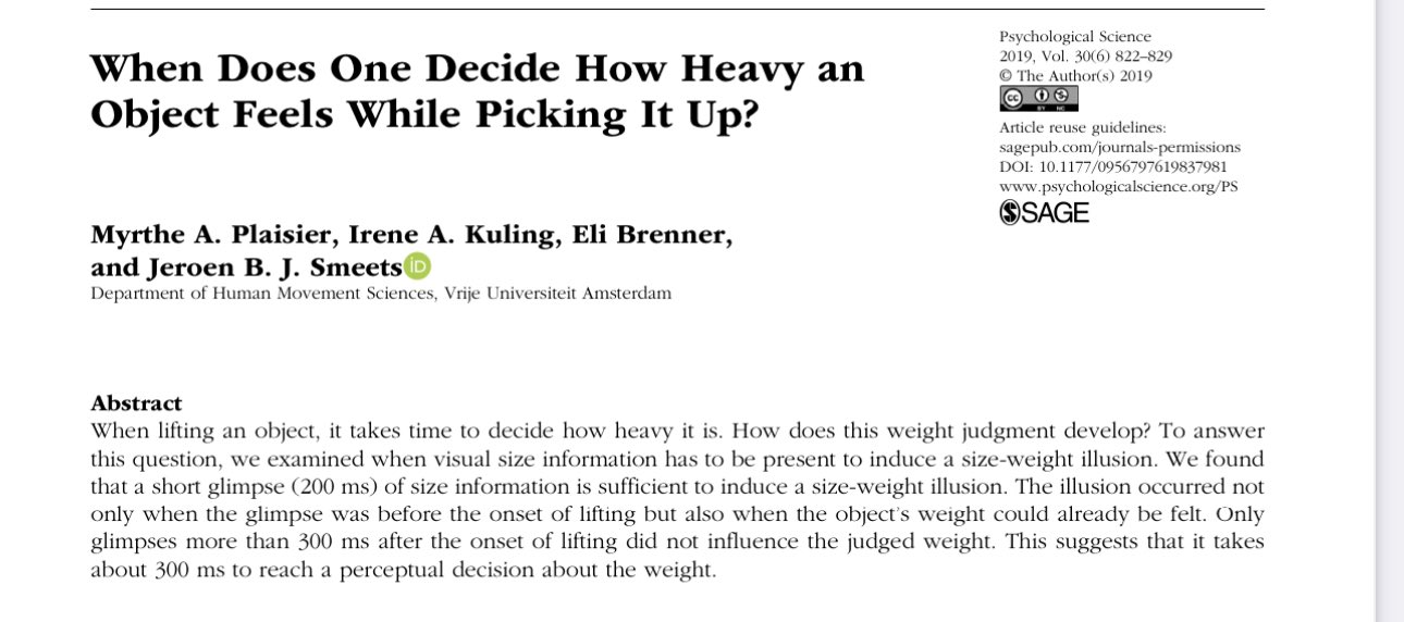 Human Sensory-Motor Processing Bandwidth and Perception Delays
