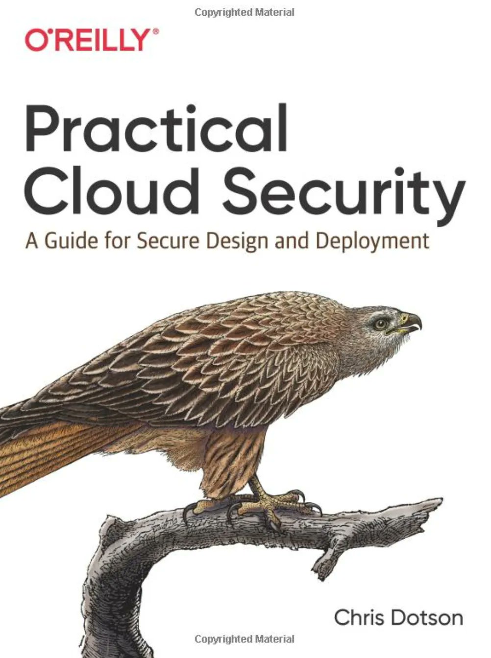 Practical Cloud Security for Big Data and Analytics