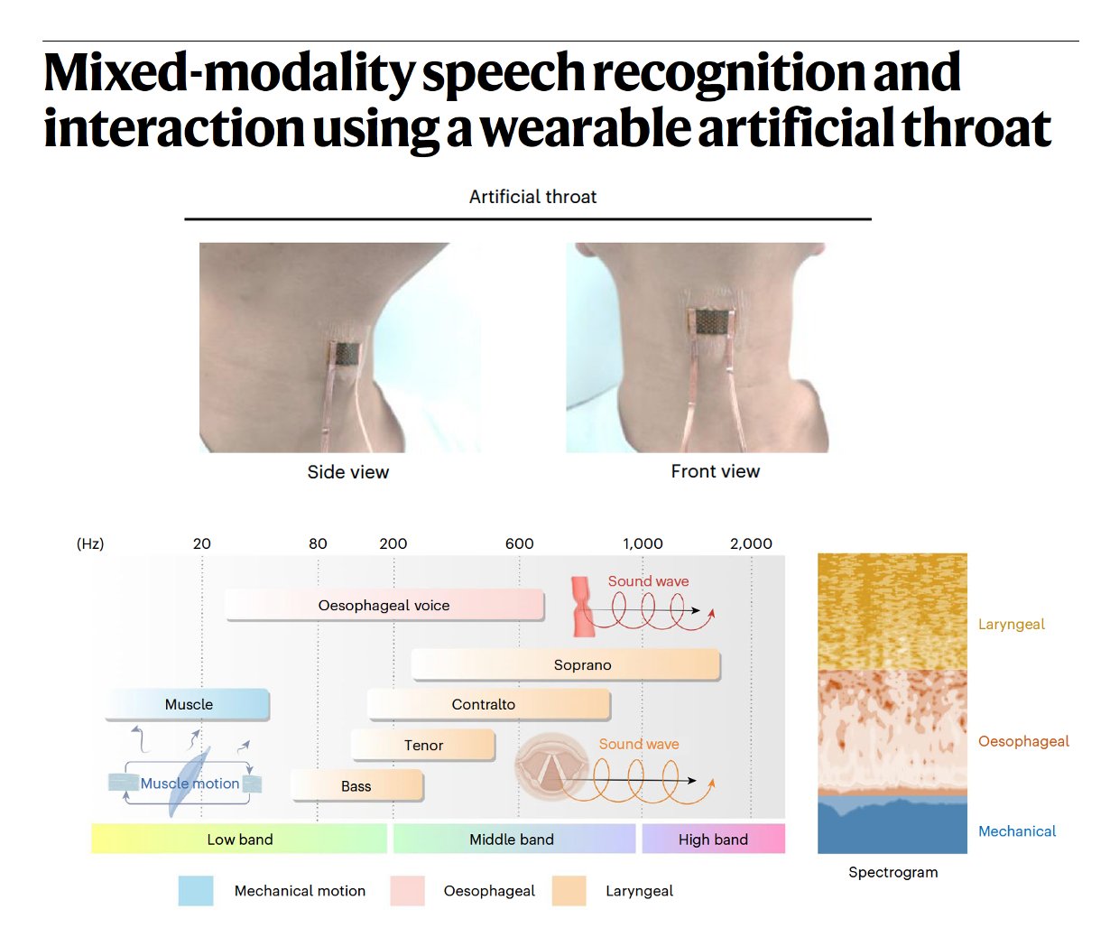 Wearable Throat Technology: Next-Generation Health Monitoring Device